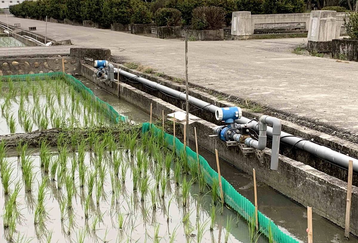 田間水位表可讓農民精準掌握灌溉時機省下珍貴水資源（圖片來源：台中農改場提供）