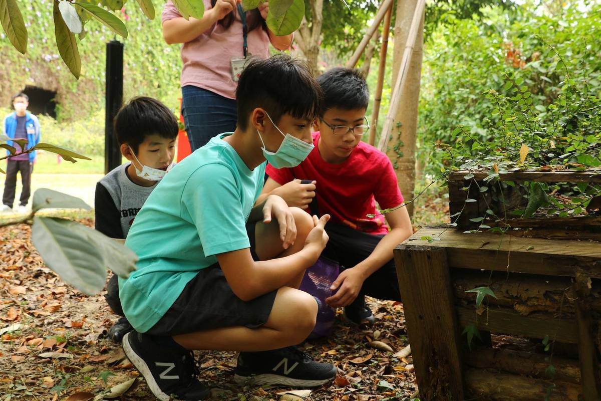 學生觀察「昆蟲旅館」（圖片來源：西屯國小）
