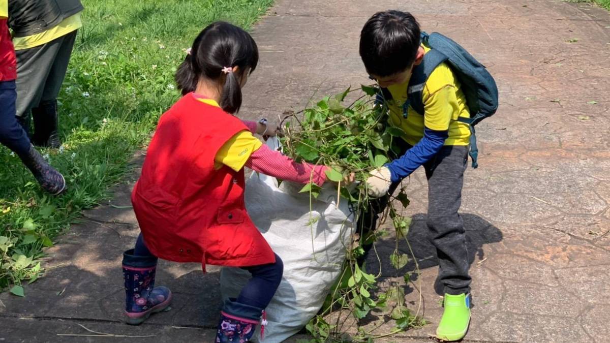 0428把移除的植物裝袋吧!.jpg