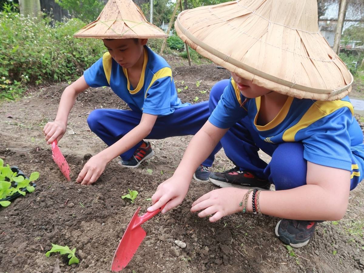 月眉國小學童種菜