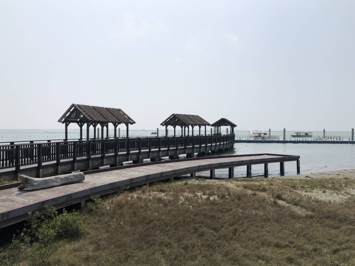 0428-七股潟湖一隅.jpg