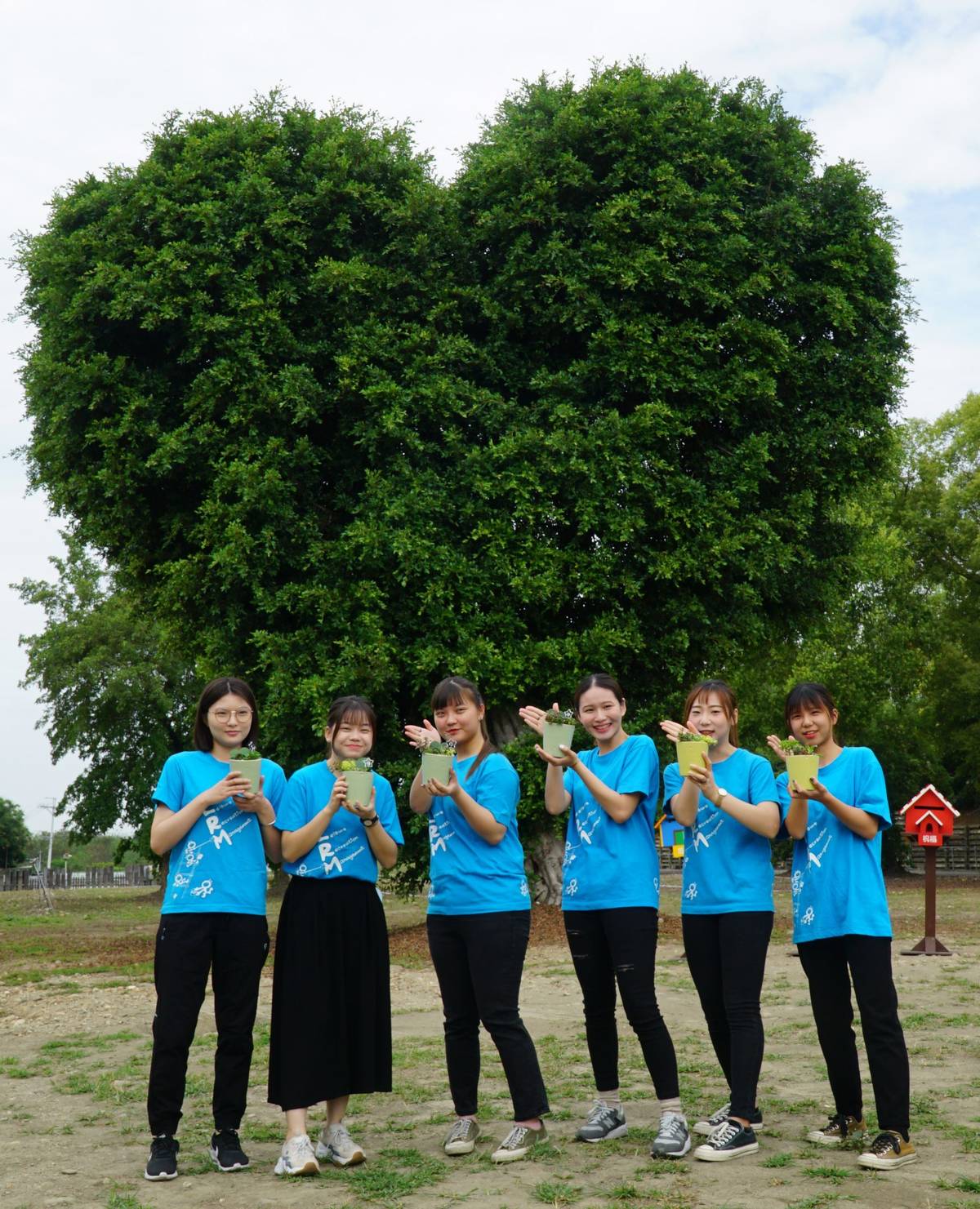 大葉大學愛心樹感恩活動，打卡送盆栽
