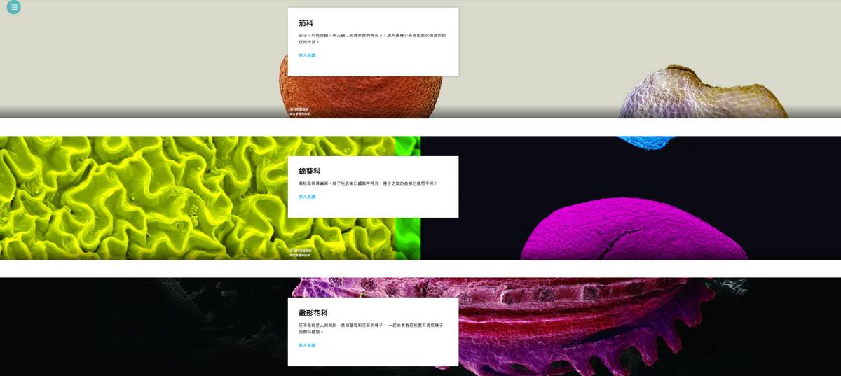 國立臺灣博物館策劃「種子美術館」線上展，運用掃描式電子顯微鏡及3D建模技術，自微觀的角度觀看，蔬果種子各領風騷