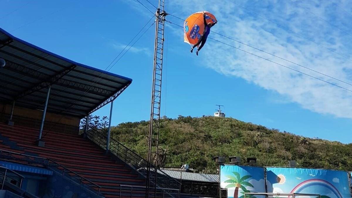 野柳海洋世界令人驚嘆