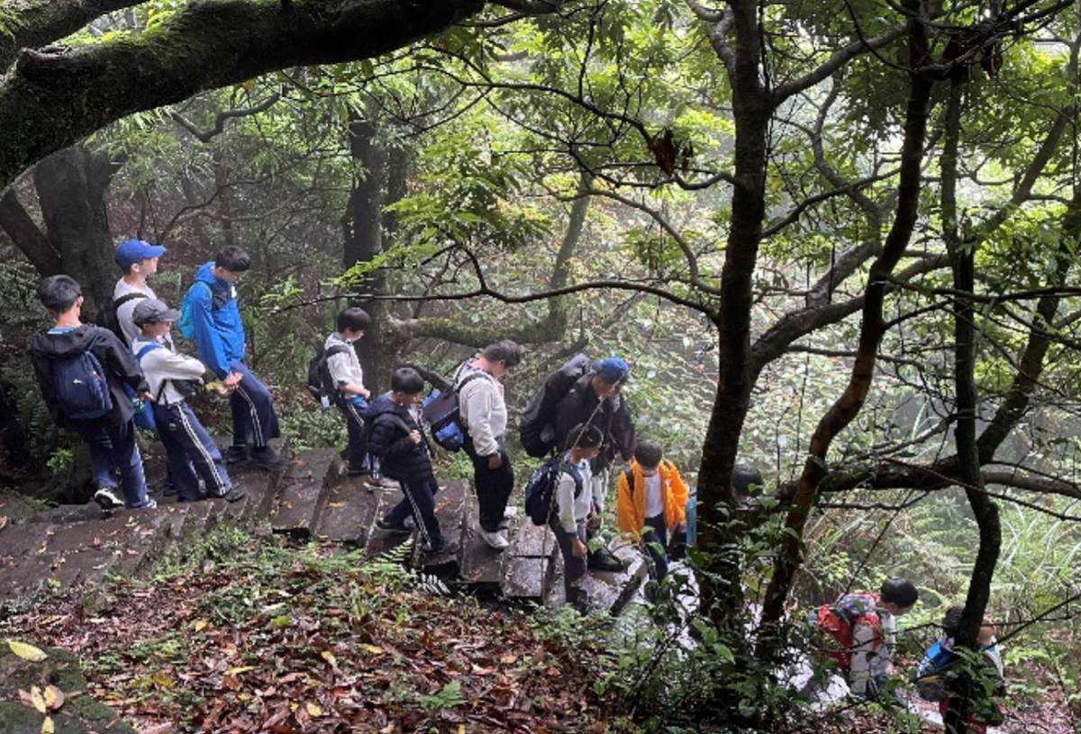 同學們走在山林裡，享受大自然