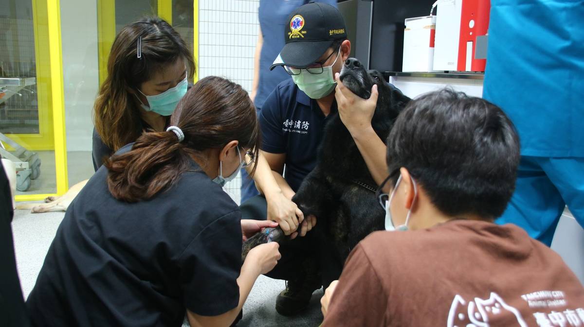 興大USR「浪愛齊步走」為搜救犬無償診治