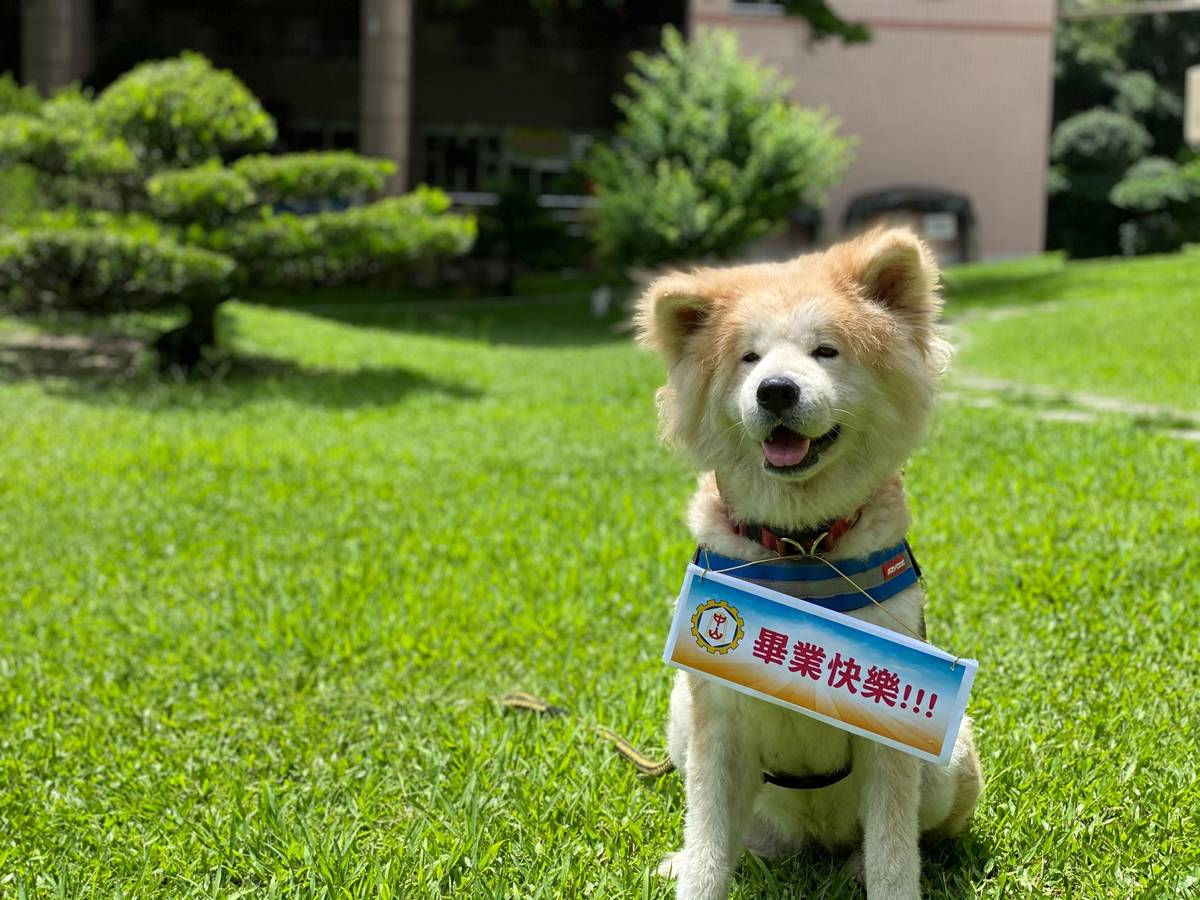 中山工商舉辦二千人線上畢業 人氣校犬入鏡添溫馨