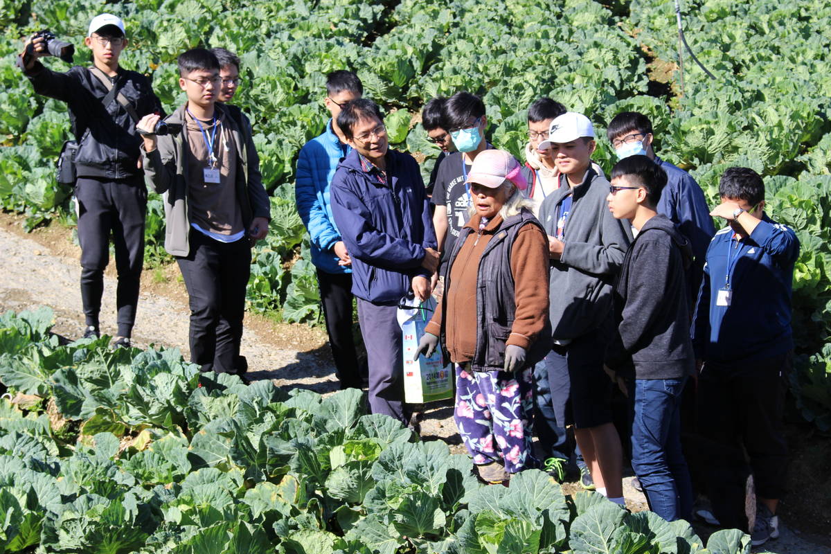 梨山種植許多高麗菜（圖:彰化高中呂興忠主任提供）