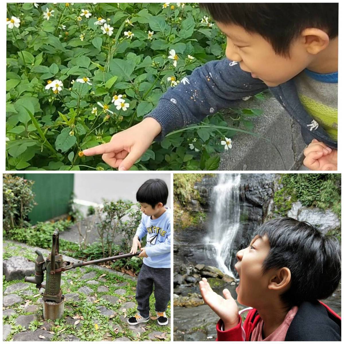 冷靜與寶爾基夫婦帶領孩子親近大自然