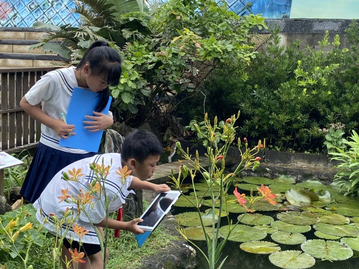 鼻頭國小培養學生運用平板拍攝並觀察生態池水生植物與生態。(鼻頭國小提供)