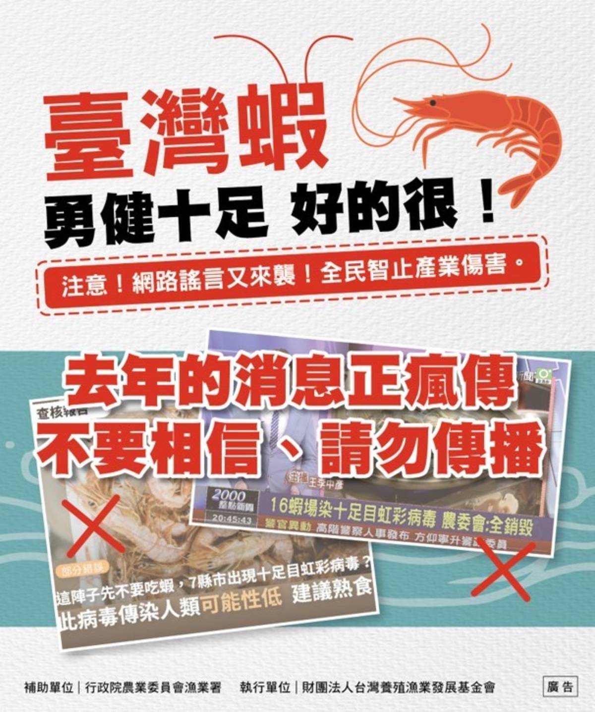 近日社群平台與群組流傳「十足目虹彩甲殼類病毒，不要吃蝦」的訊息，漁業署澄清表示，這是去(109)年的舊報導，漁業署已在109年及今年初，針對國內螯蝦養殖場進行全面採樣監測及調查訪視，僅剩零星螯蝦場陽性，並已全數清除銷毀。(漁業署提供)