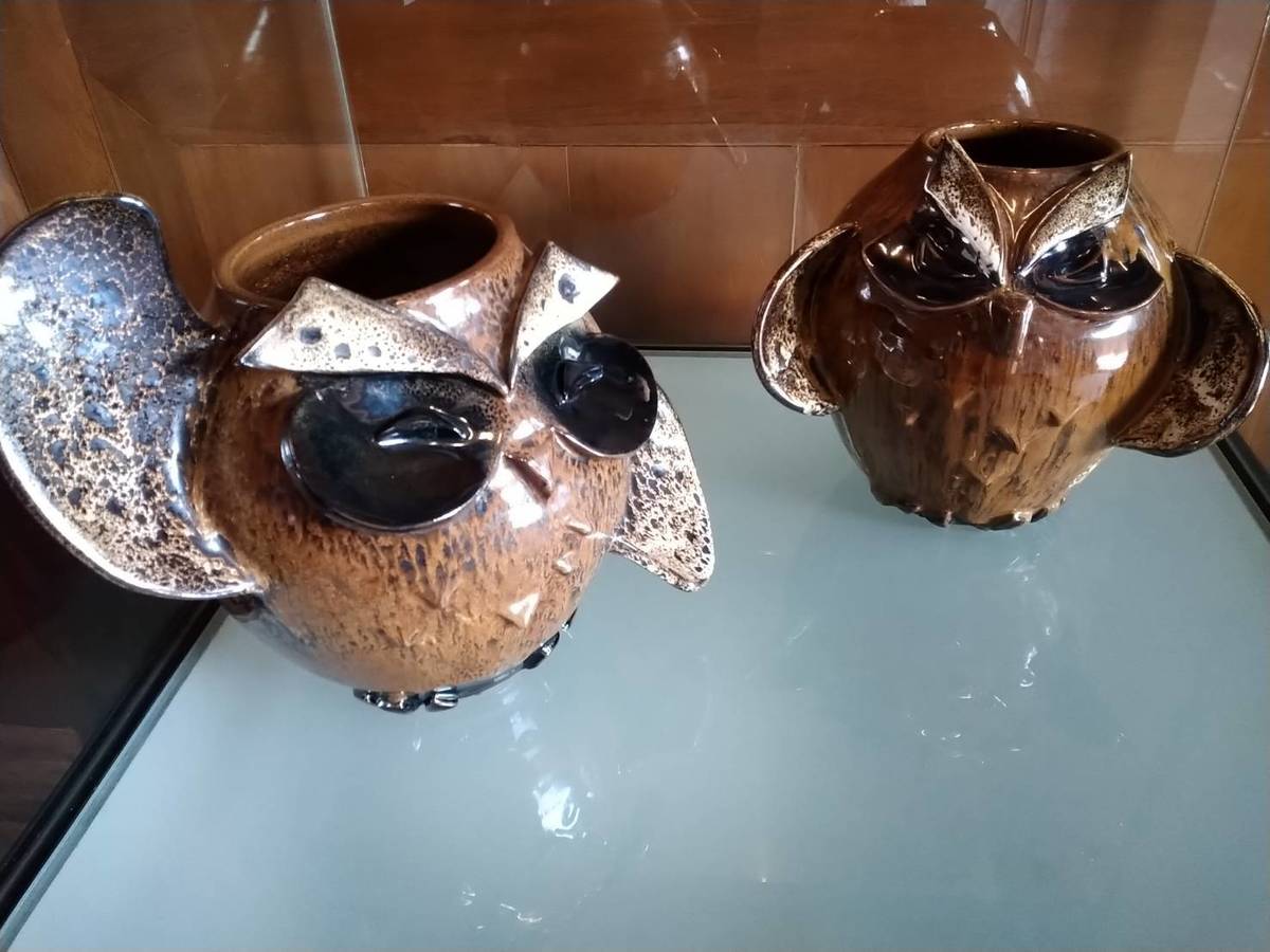 天目貓頭鷹一對