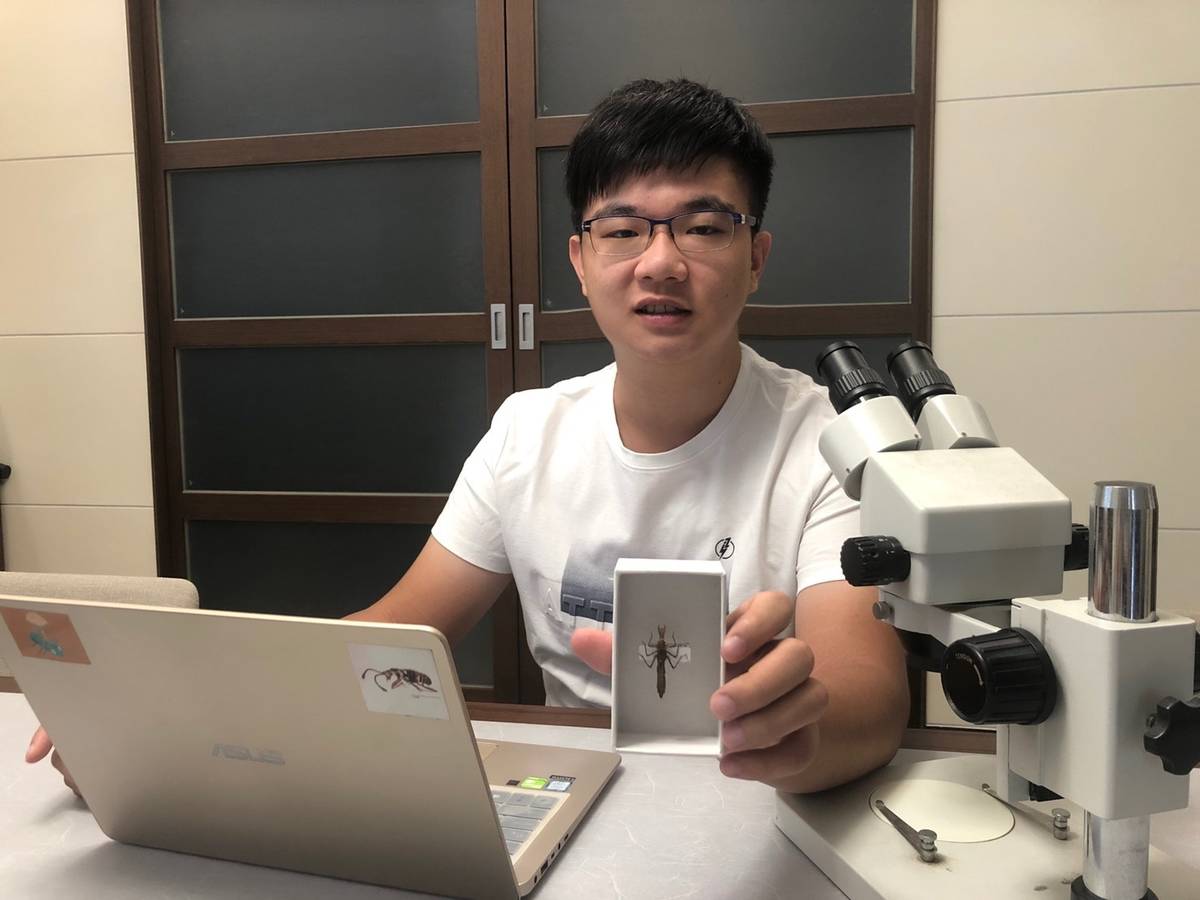 論文第一作者中興大學昆蟲學系大三生胡芳碩至今已發表過15篇論文