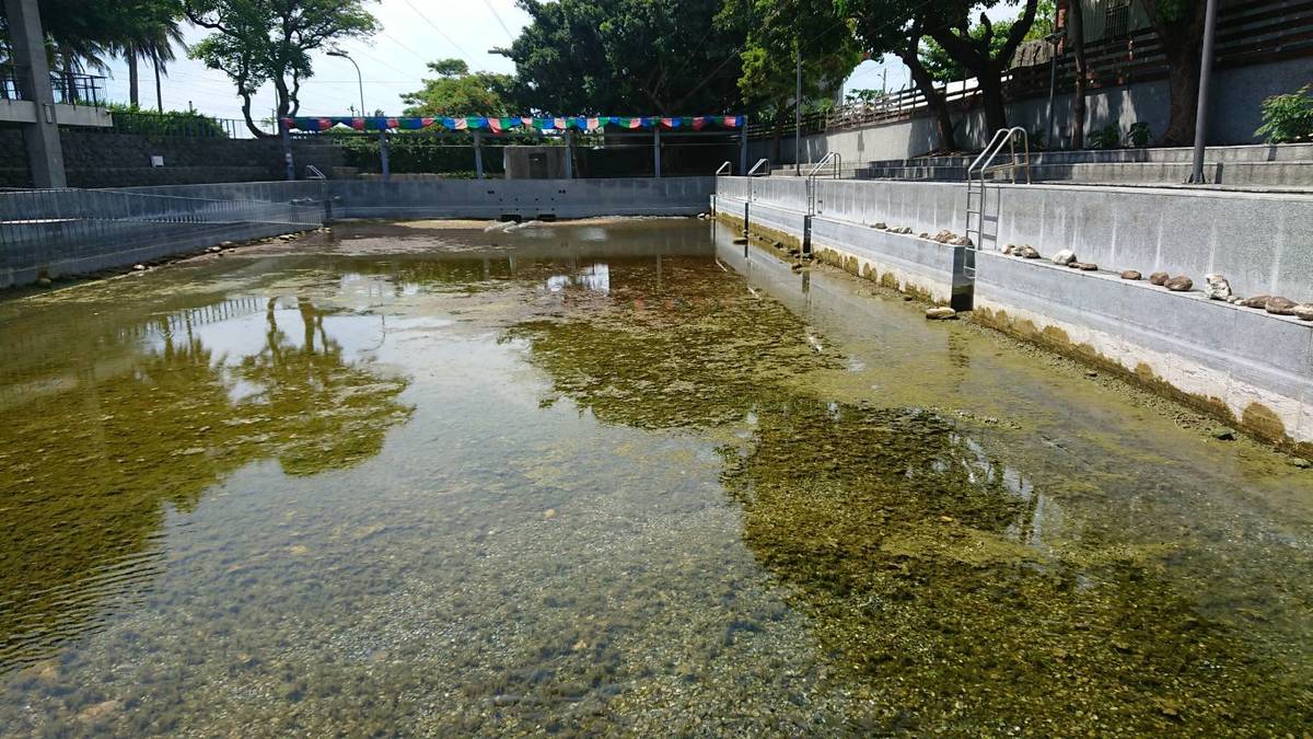 臺東市湧泉運動公園泳池乾涸，大泳池深度只到腳踝、剩約10公分。