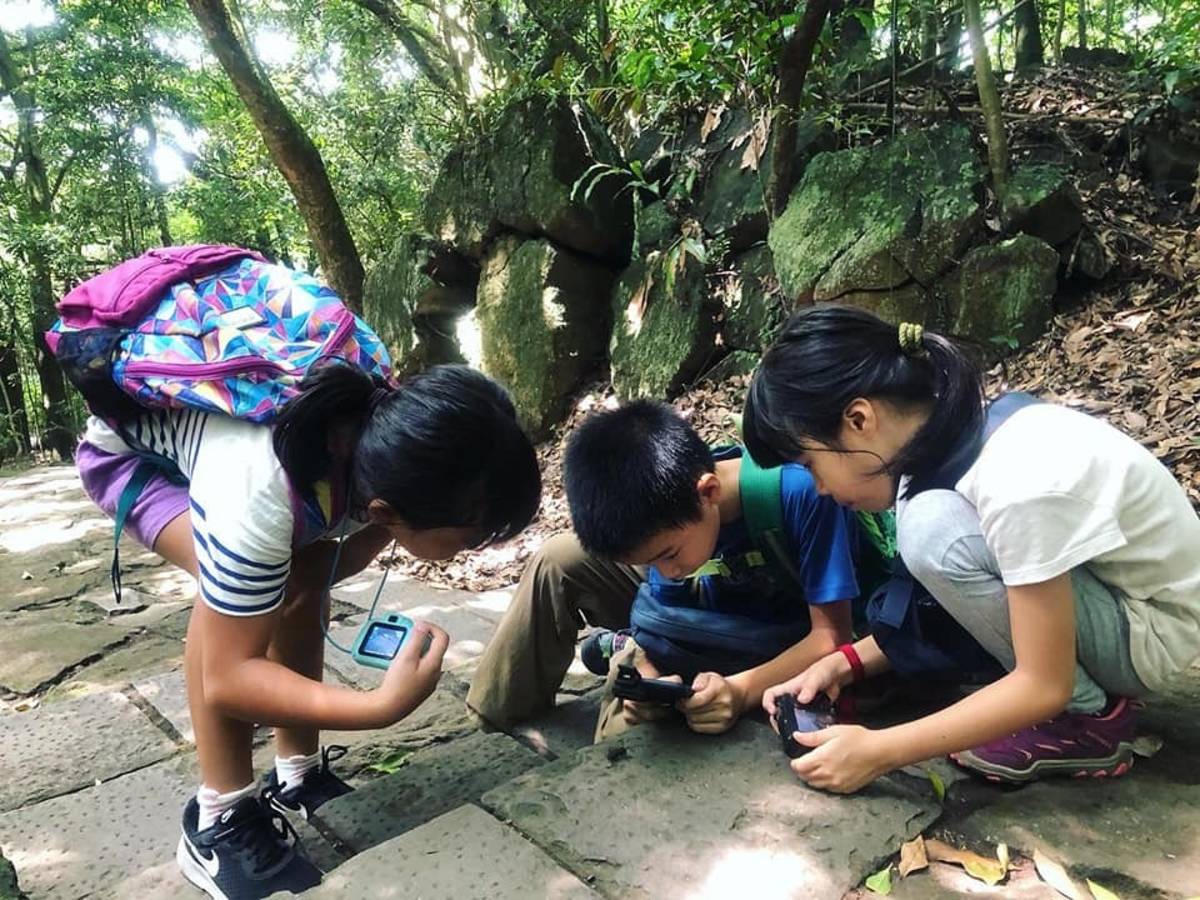 從自然觀察中培養孩子的好奇心與觀察力