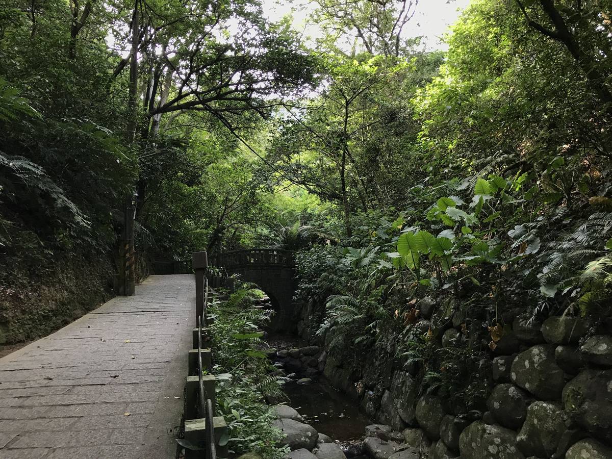 以生態工法整治虎山溪，為當地物種保留棲地