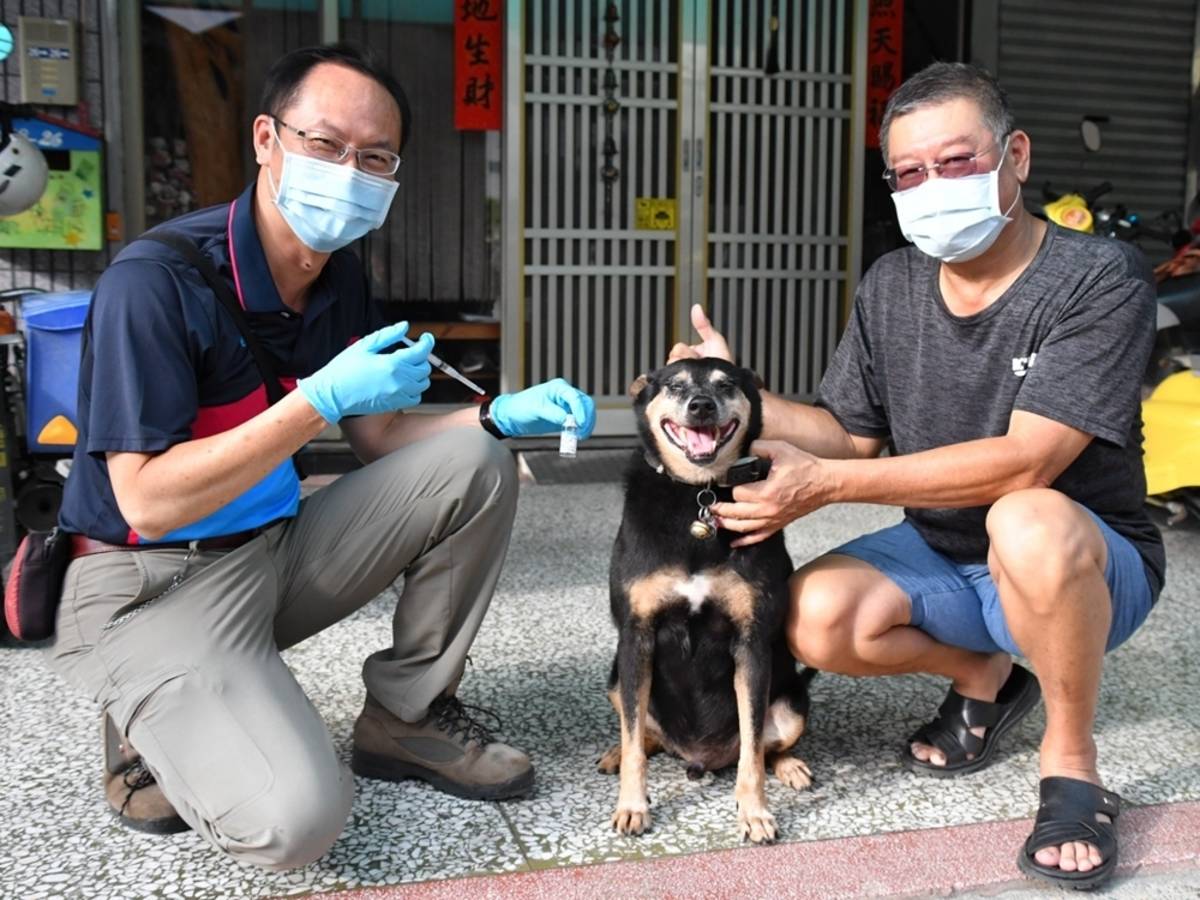 吉安鄉到府注射狂犬病疫苗