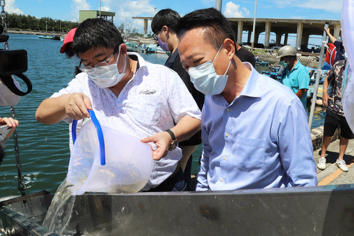 關心海洋資源永續發展 民間發起魚苗放流活動 翁章梁呼籲珍惜海洋資源