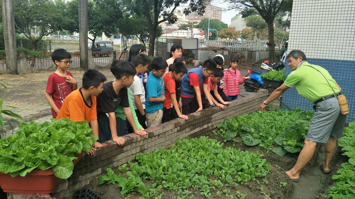 陳進財老師在建國實驗小學推動高年級食農與環境教育，圖為陳進財進行蔬菜解說。(陳進財老師提供)