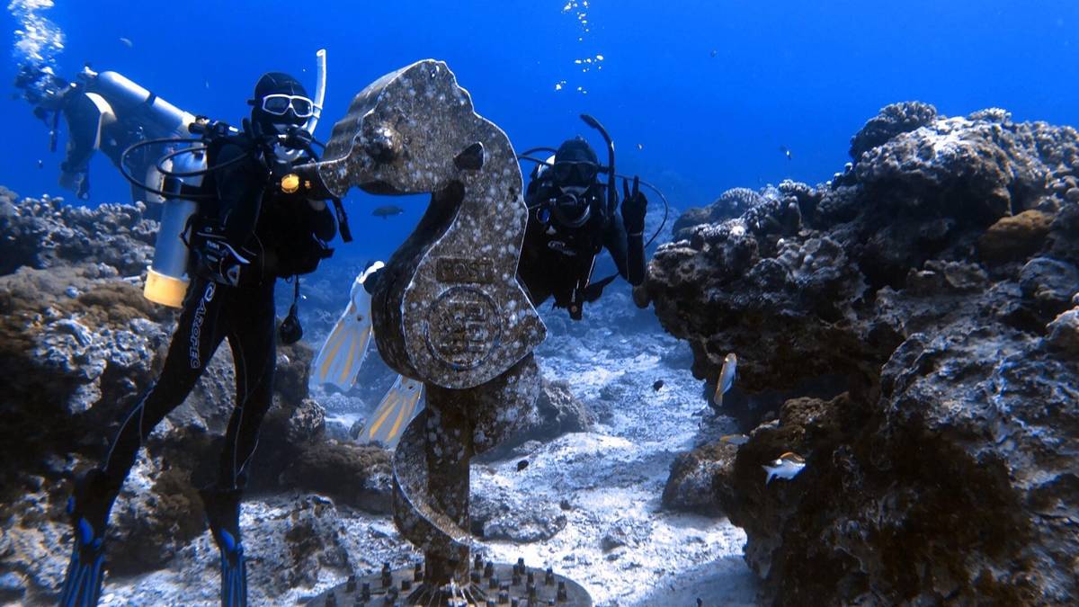臺東大學「海洋文化與遊憩探索」課程，學員進行潛水技能考核與水下觀光素材收集。