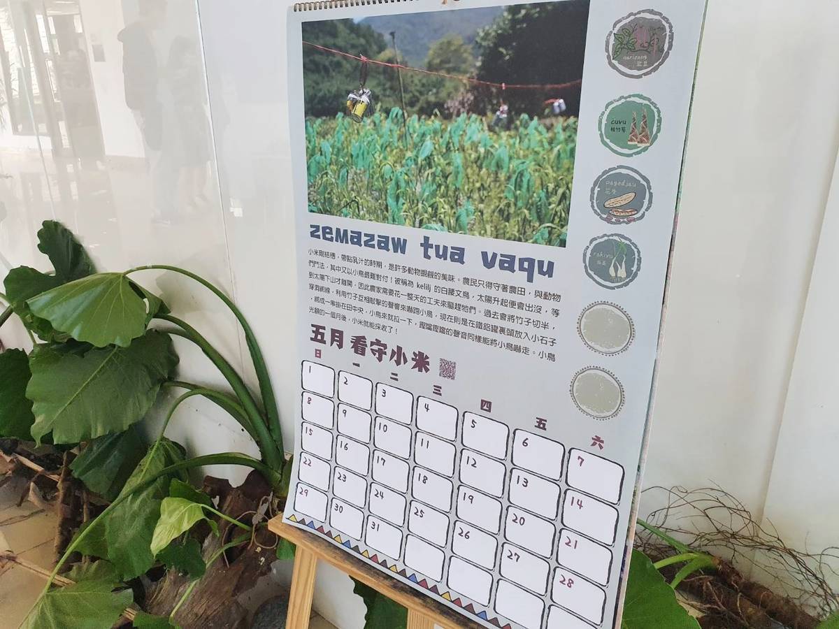 東大攜手啦里吧  排灣族農事曆揭傳統智慧的農作密碼