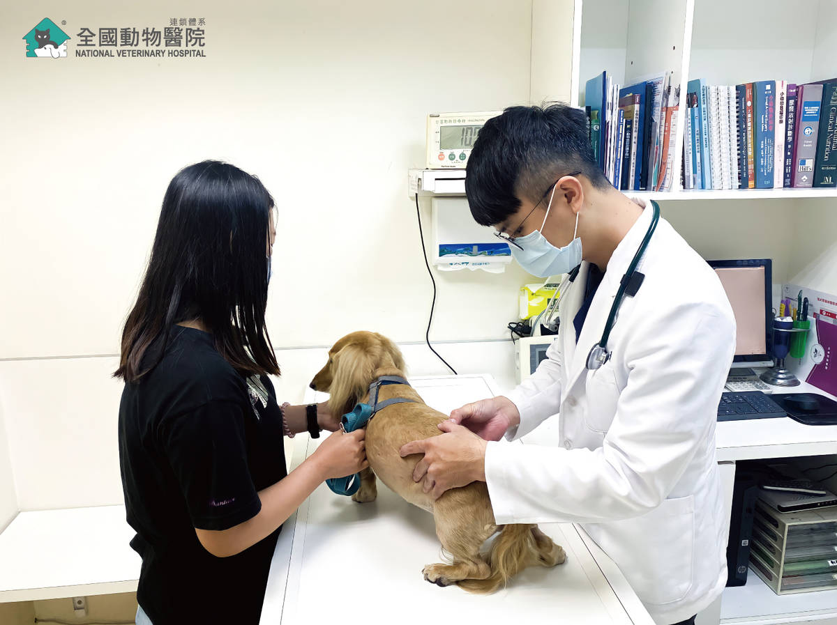 全國動物醫院黄硯庭總獸醫師