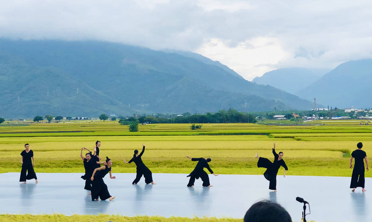 今年臺東池上秋收稻穗藝術節，雲門舞集第3度受邀站上舞臺。