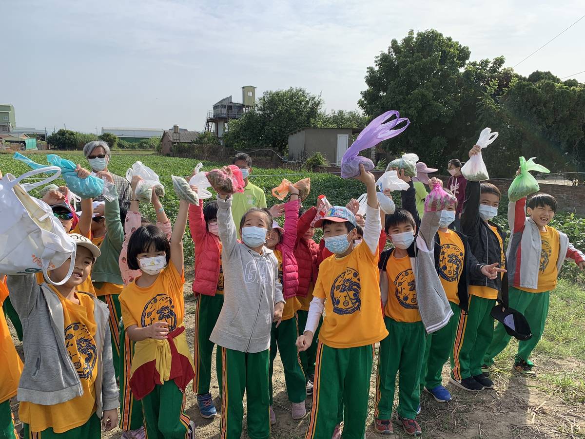 視力保健-109學年度優等學-臺南市日新國小-校戶外活動課程-採豆
