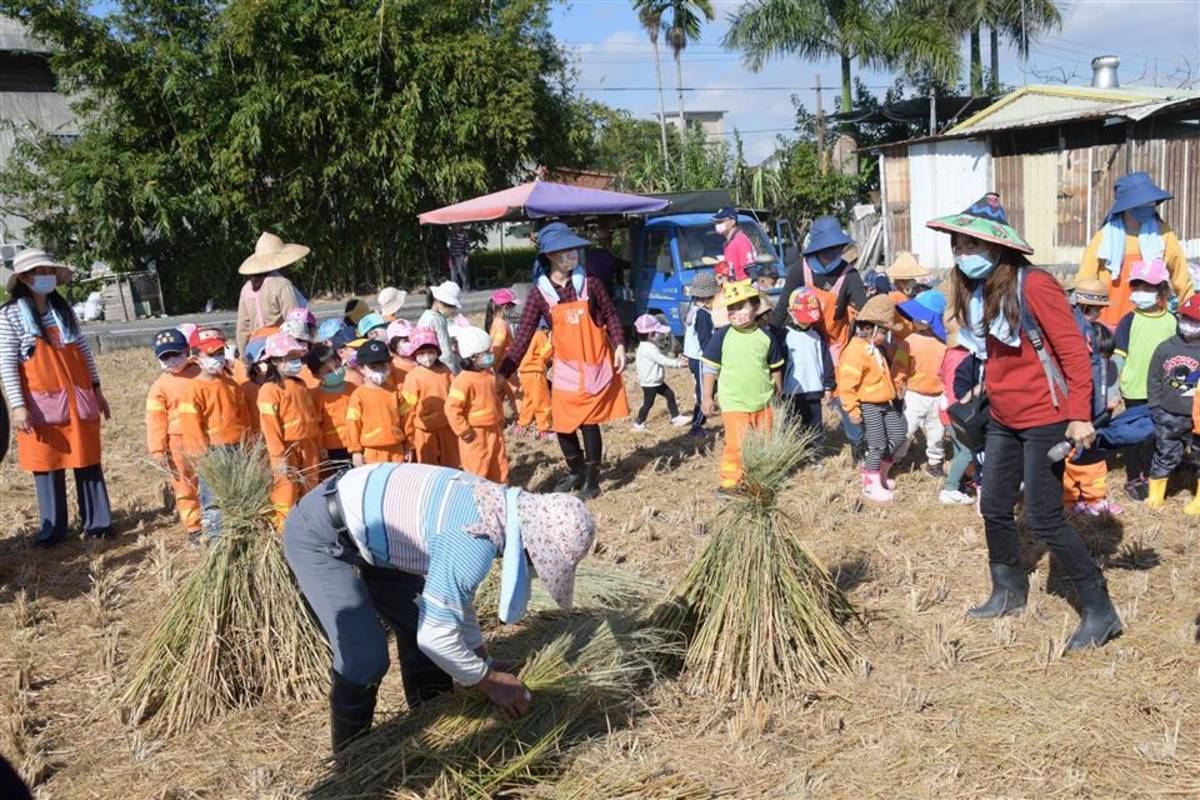 學生觀摩農民收稻（圖片來源：彰化縣政府）