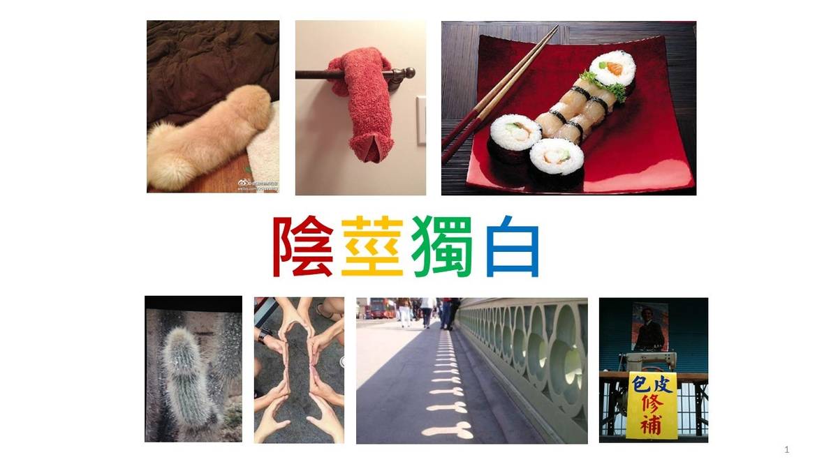 陰莖獨白照片