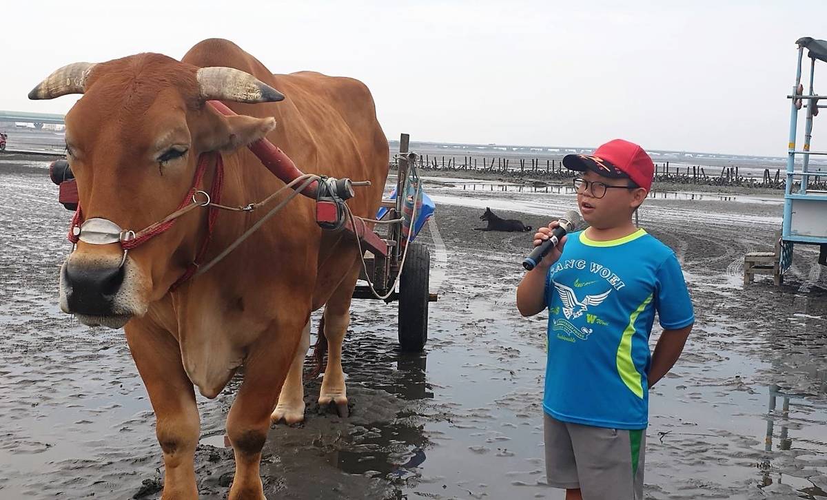 芳苑國小的學生上過課後已經可以流暢地介紹海牛和潮間帶特色(圖片來源：芳苑國小提供)