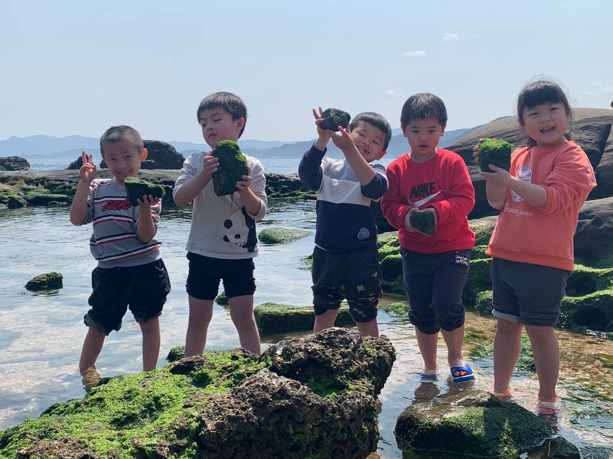 維納斯海岸探索海藻