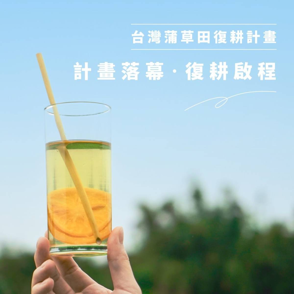 玩艸植造 發起蒲草田復耕計畫