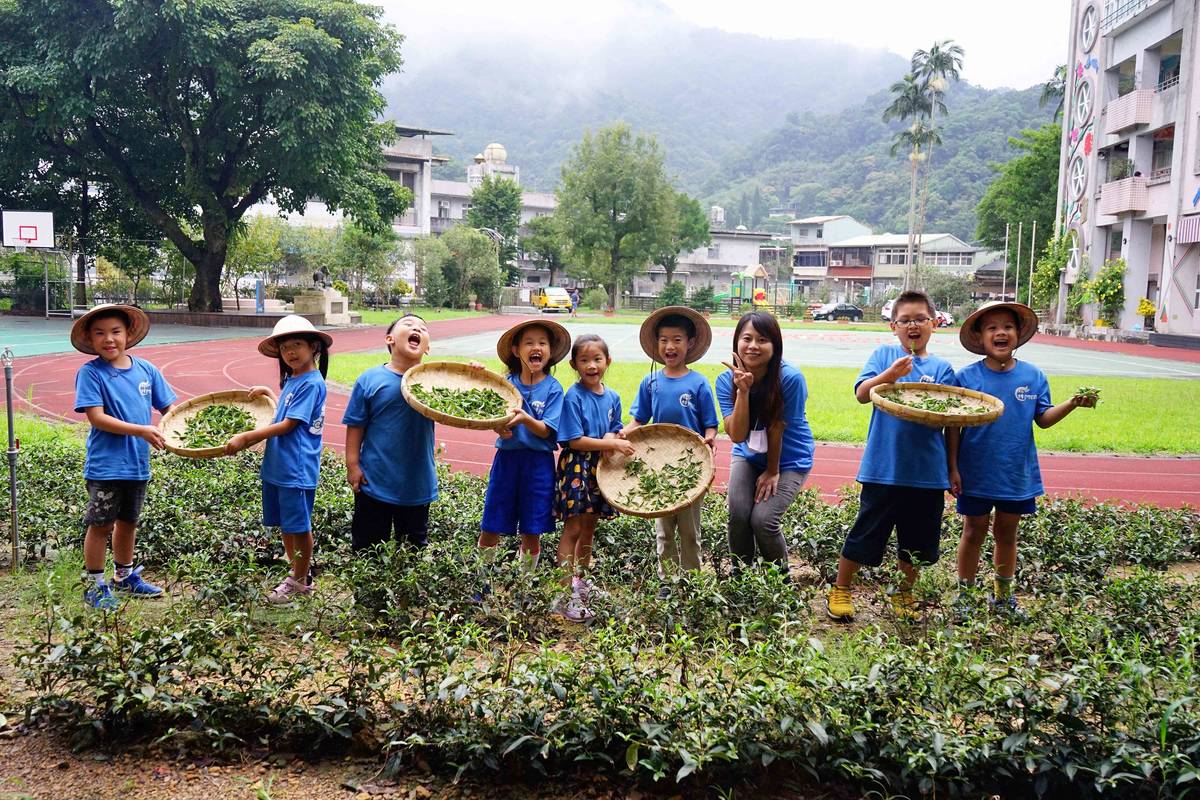 坪林國小運用茶鄉文化融入課程讓學生深刻體驗，獲得教育部生命教育特色學校(資料照)