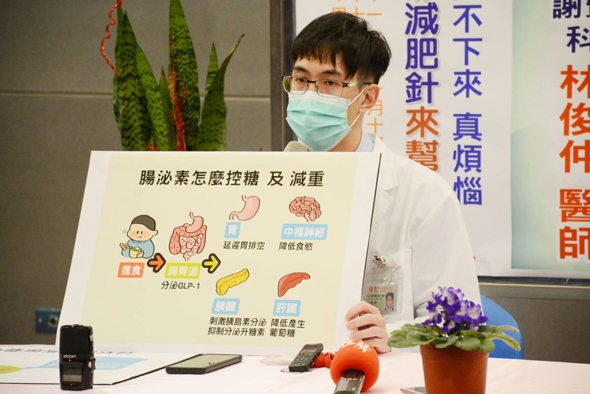 臺東馬偕醫院內分泌暨新陳代謝科醫師林俊仲說明「腸泌素」的控糖及減重機轉。