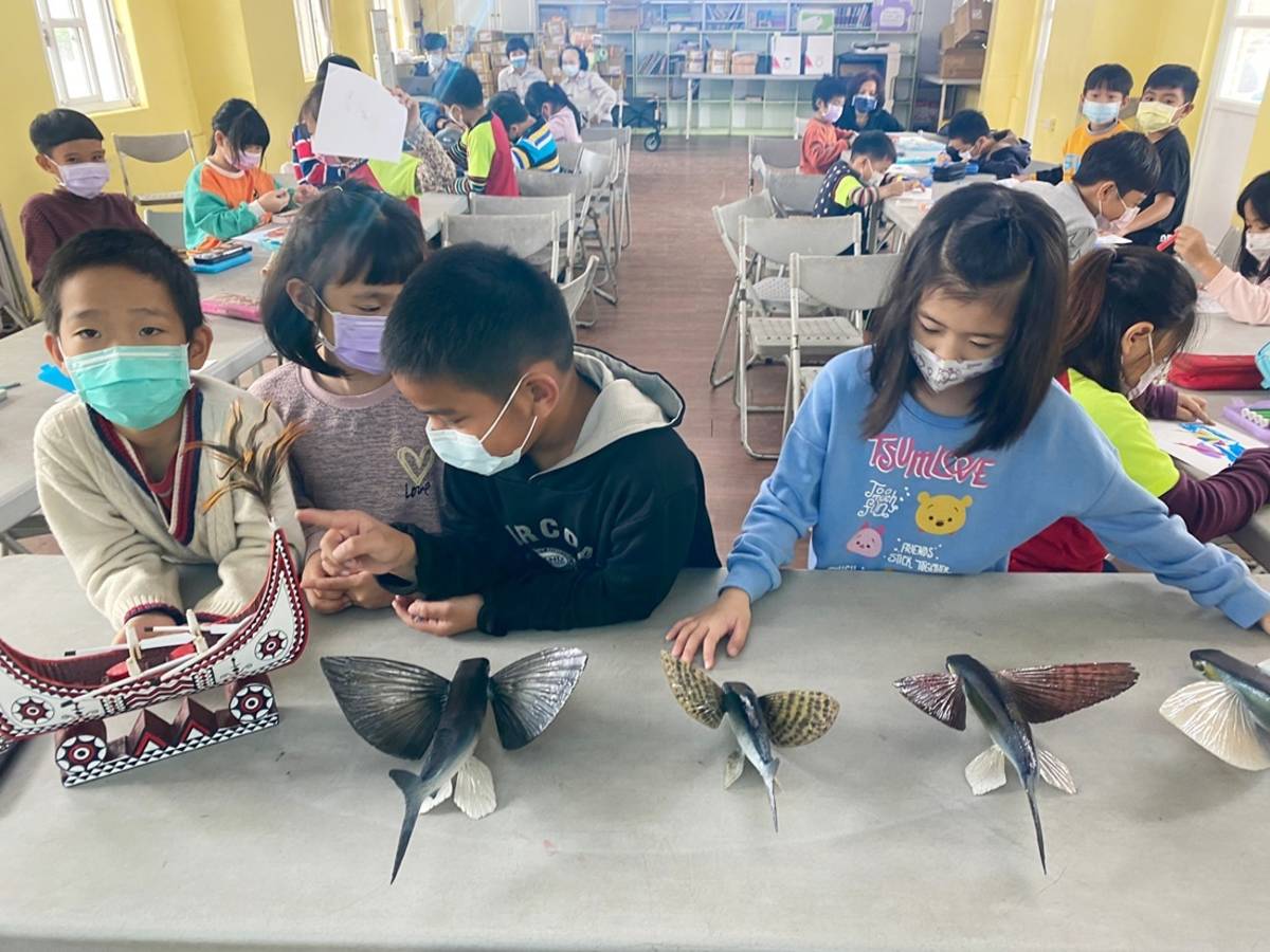 史前館環境教育課程設計「臺灣的飛魚教具箱」，介紹臺灣海洋中的飛魚種類、文化以及永續利用之道。