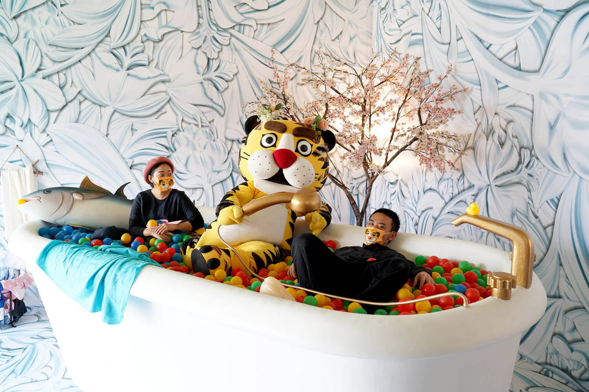 滅火器主唱楊大正到衛武營愛虎親子創意特區拍照