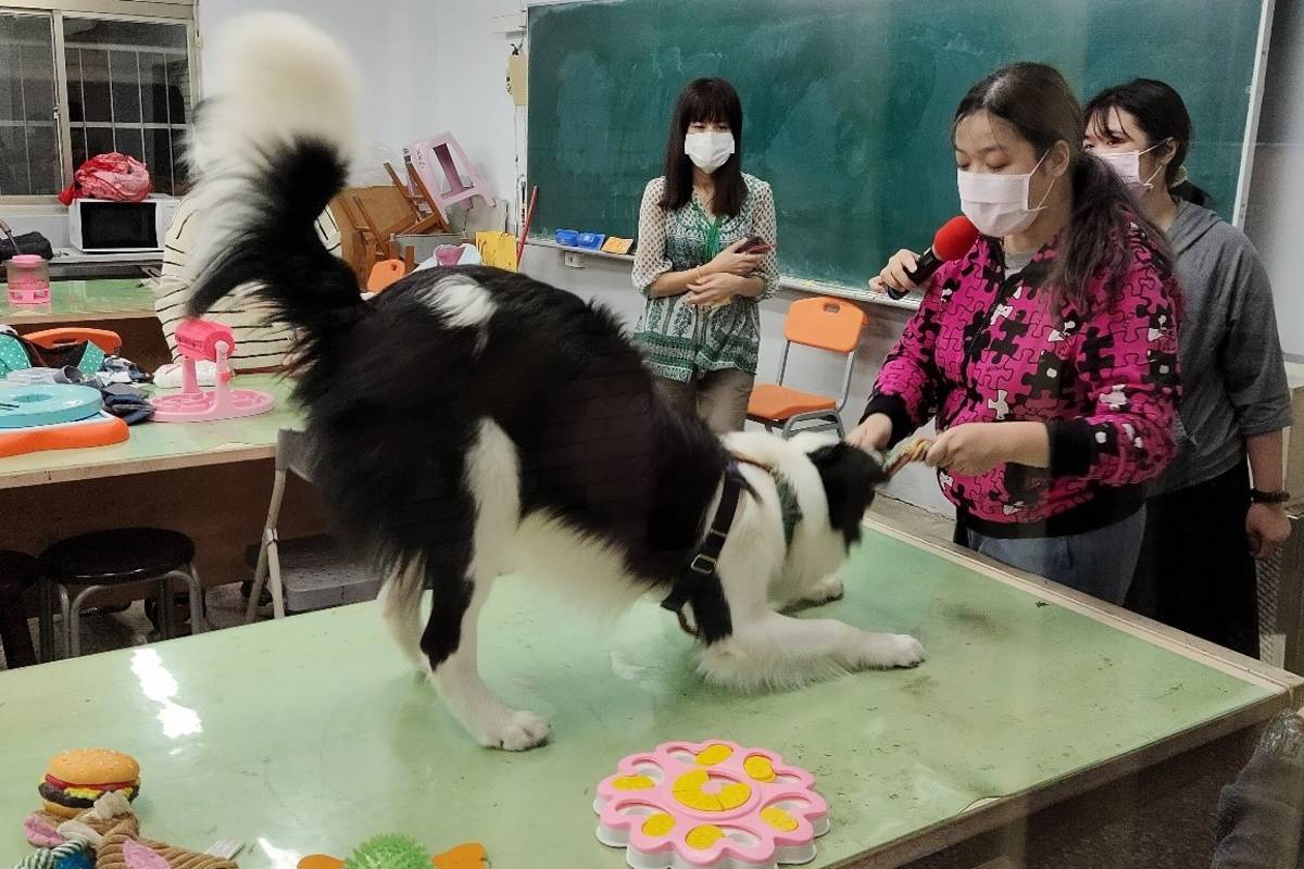臺北市貓犬學校於六所社區大學同步開課