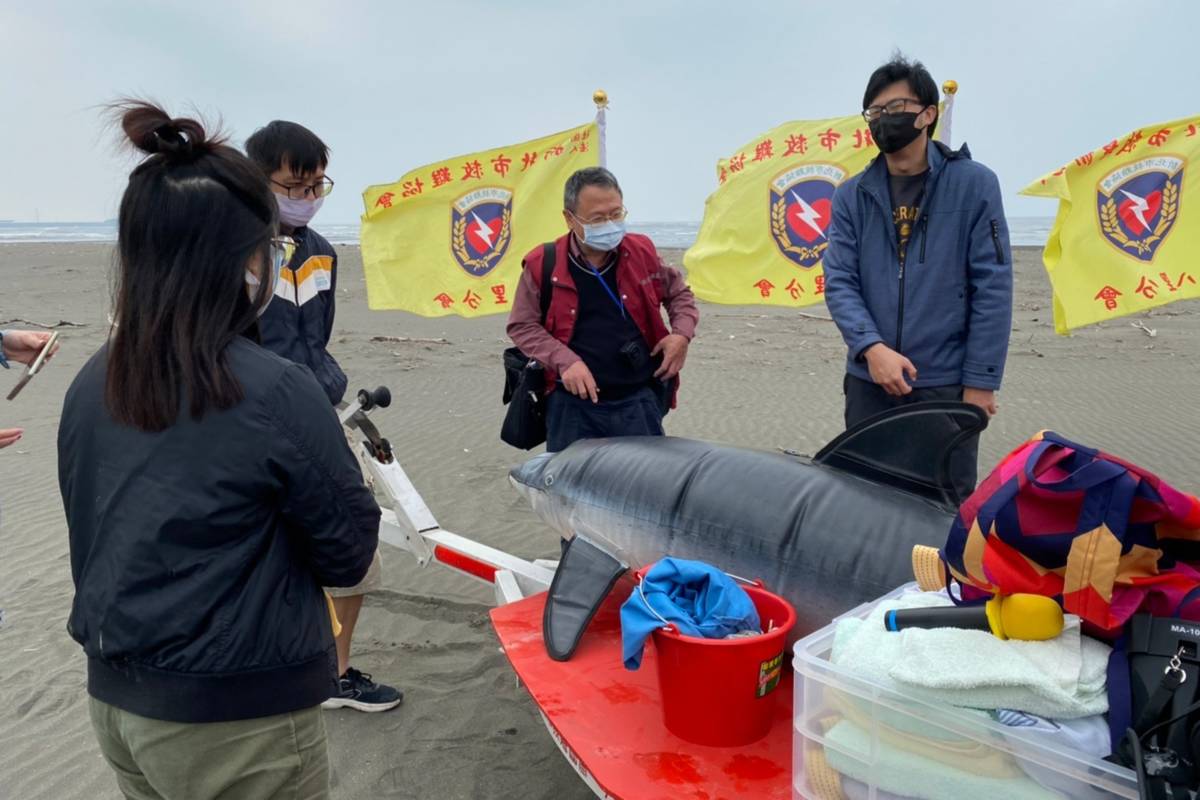 鯨豚協會攜帶瓶鼻海豚模型現場解說瓶鼻海豚特徵