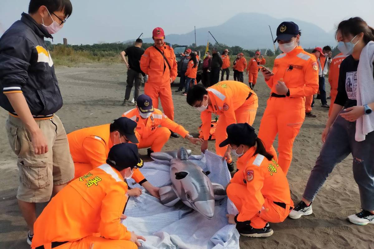 海巡同仁演練鯨豚救援擔架布操作