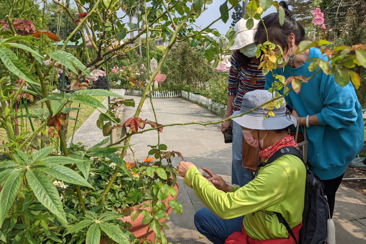 文化大學長青班手機攝影李老師帶領學員實地取景拍照
