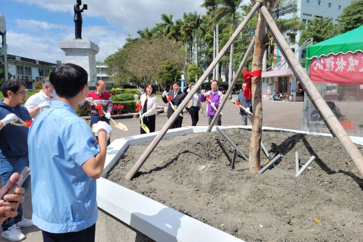 臺東高中配合植樹節活動，邀請多位資深校友齊聚，在校門口內重新種下一株新的鳳凰樹。
