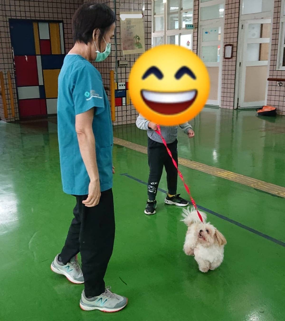 社團法人臺東縣關懷生命協會將動物療癒帶進校園5