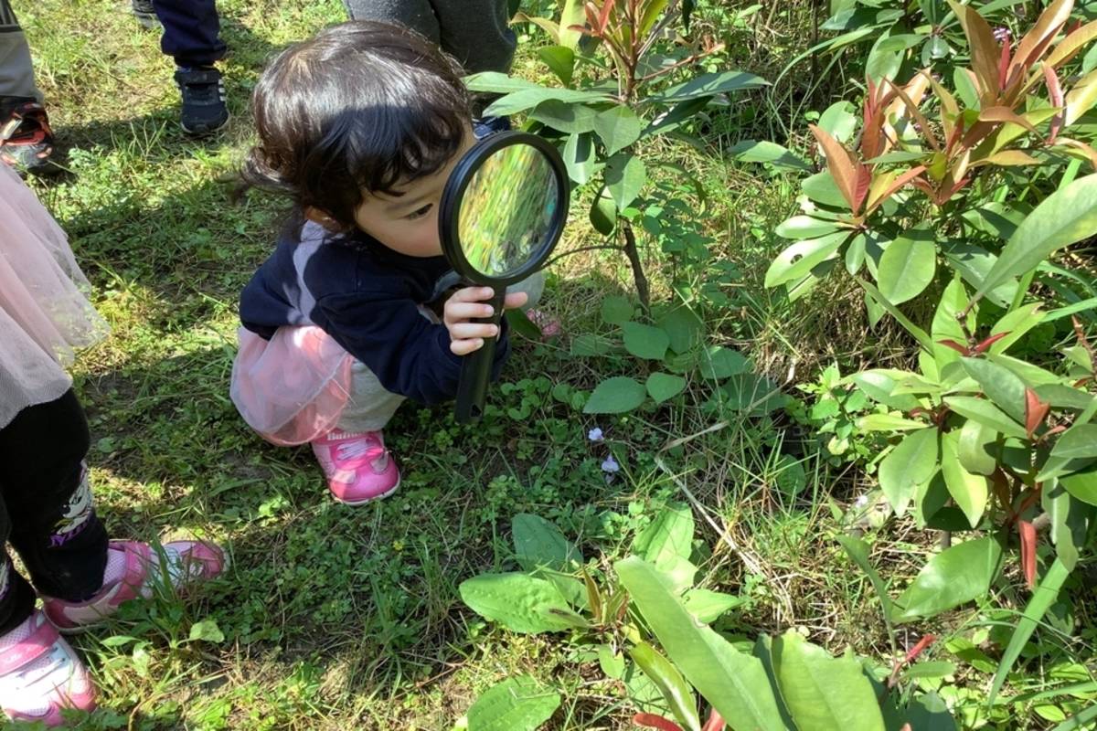 基隆市長樂國小附幼應用五感體驗來學習 (教育部提供)