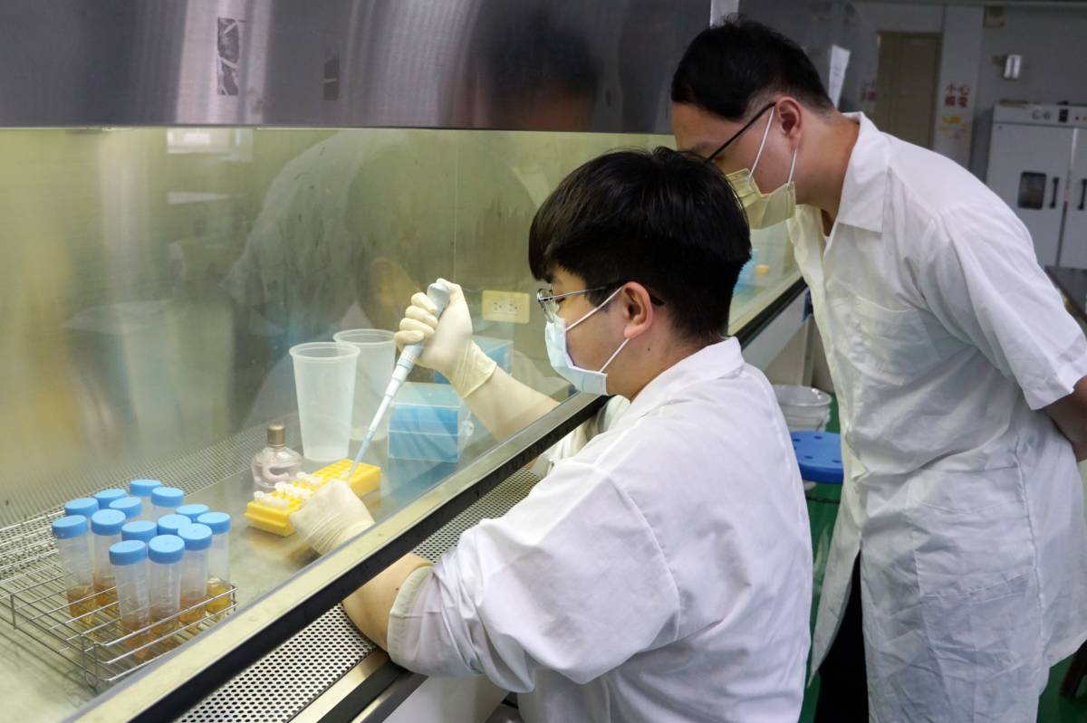 大葉大學帶領學員做防腐效能實驗