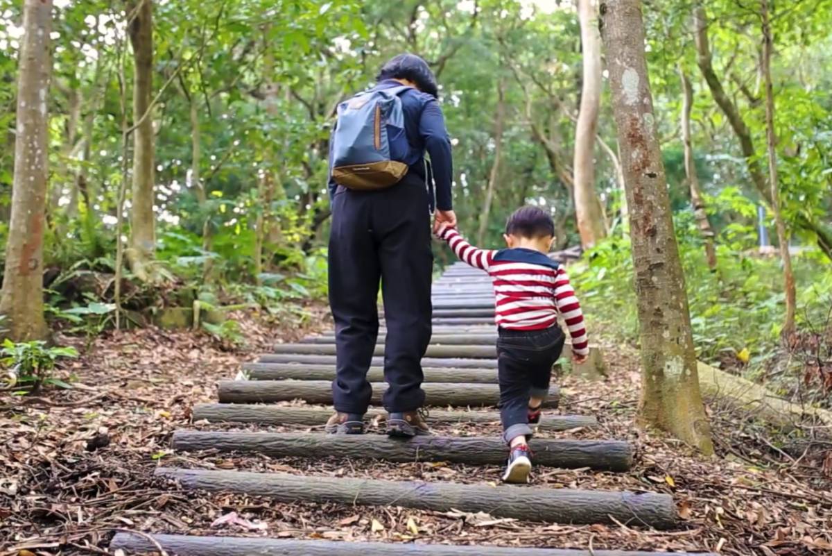 文山森林公園內老少咸宜自然好行走的森林步道