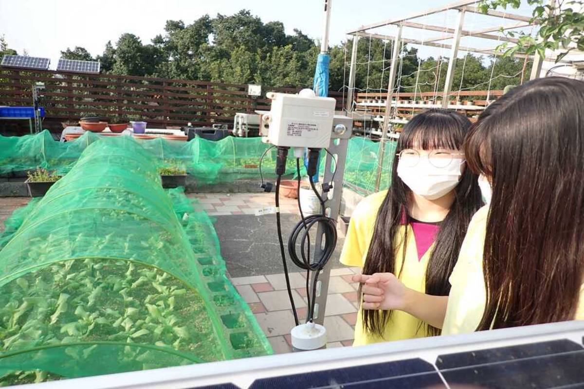 鶯歌國中學生學生檢查環境監測裝置 (新北市教育局提供)