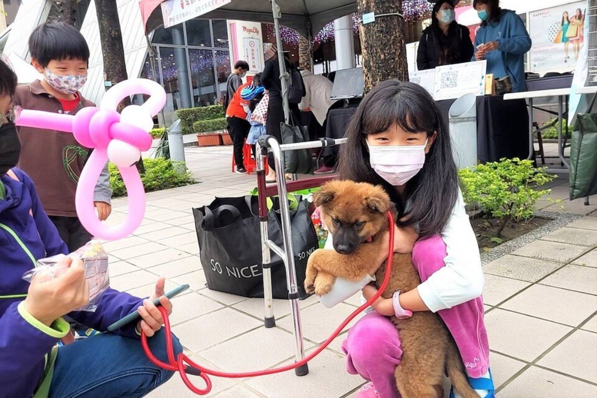 府中15將於本週六（4月23日）舉辦《浪浪回家》特映會暨動物認養活動，現場將邀請新北市動保團體出席，共同為流浪動物站台並舉辦認養活動 (新北市動保處提供)