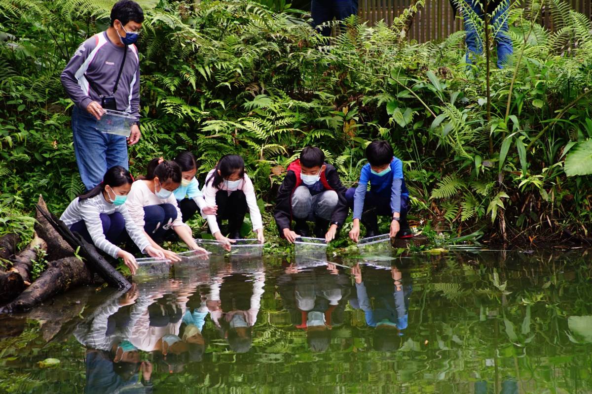 馬明潭生態園區舉辦臺灣原生魚類復育活動，同學小心翼翼地把小魚放養在馬明潭池中