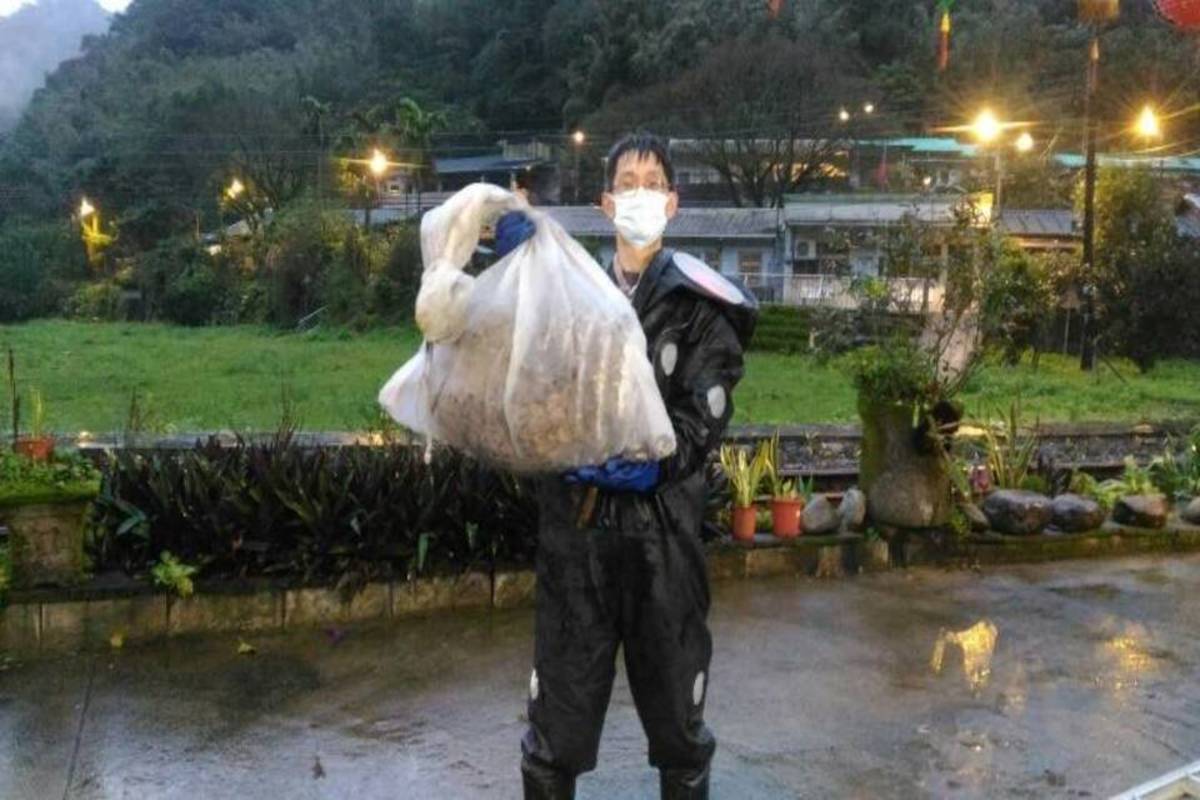 駐區獸醫王嚴緖穿著新式達人捕蜂裝摘除蜂窩 (新北市動保處提供)